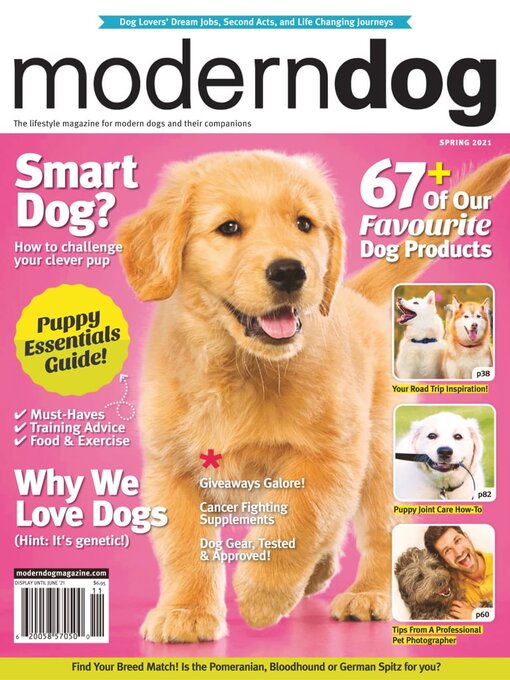 Cover image for Modern Dog